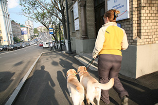 市内を散歩する女性と犬
